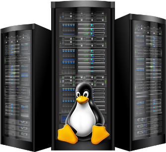Linux Server (Sunucu) Nedir?